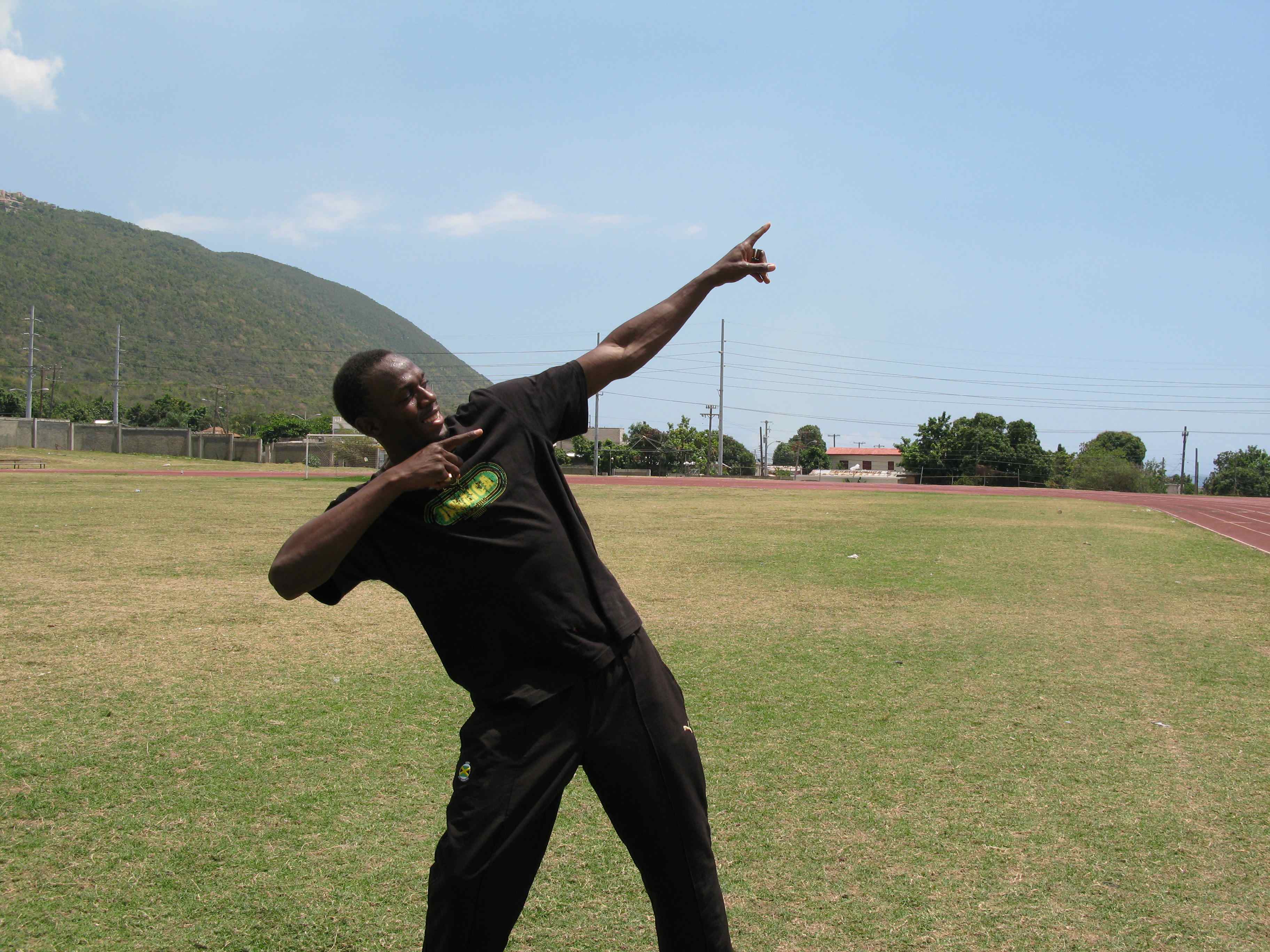 有名なボルトポーズ