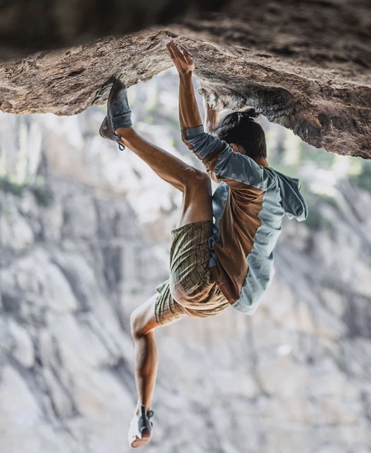 人間は指先と足先だけで体を支えることができる